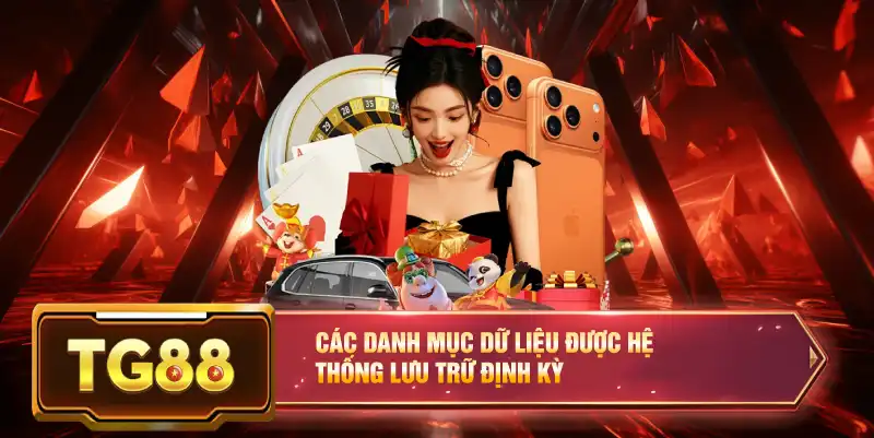 Các danh mục dữ liệu được hệ thống lưu trữ định kỳ