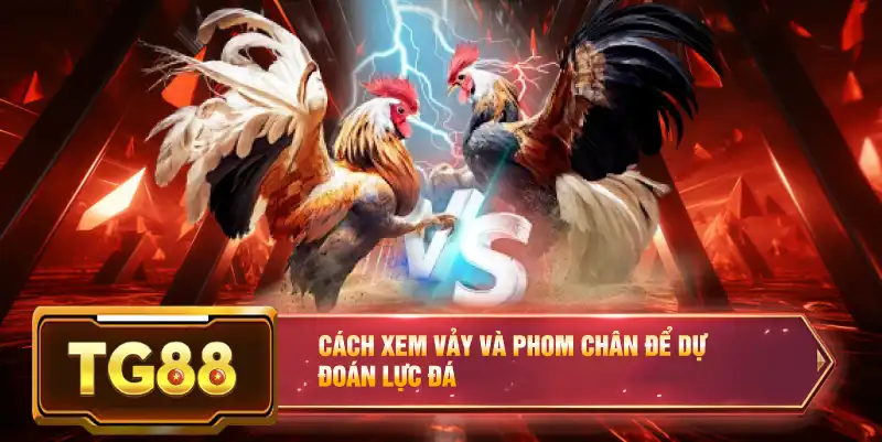 Cách xem vảy và phom chân để dự đoán lực đá